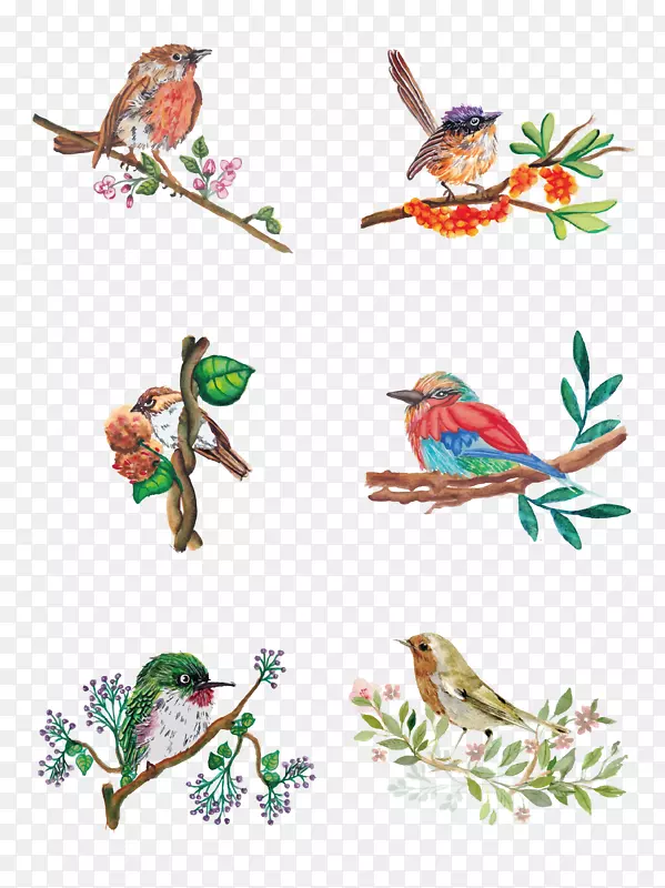 ����ͼ���������-������