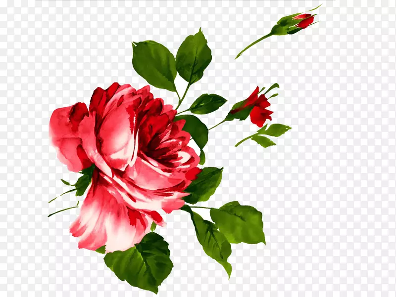 ĵ��ˮ�ʻ�����ز�-������