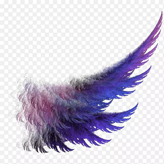 ��ɫ��ëװ��-������