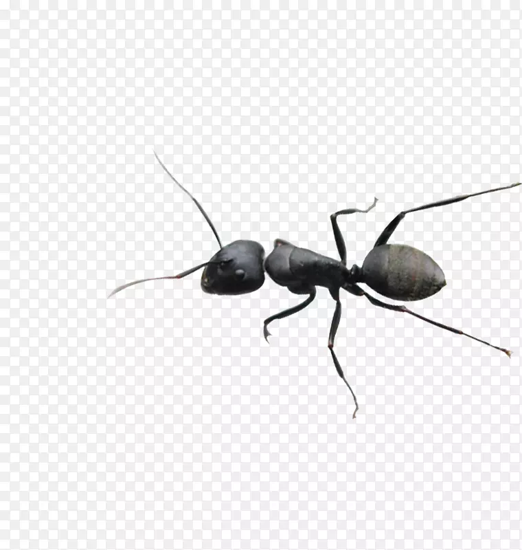 ������-������