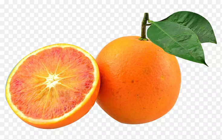 ���ʳ�������ز�-������