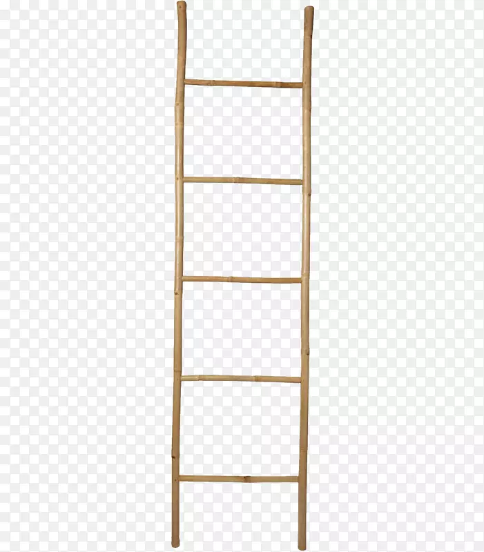 ��ɫ������-������