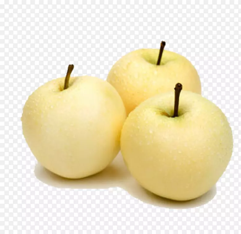 ����ѩ��-������