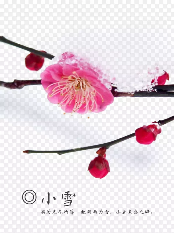 ÷���ز�-������