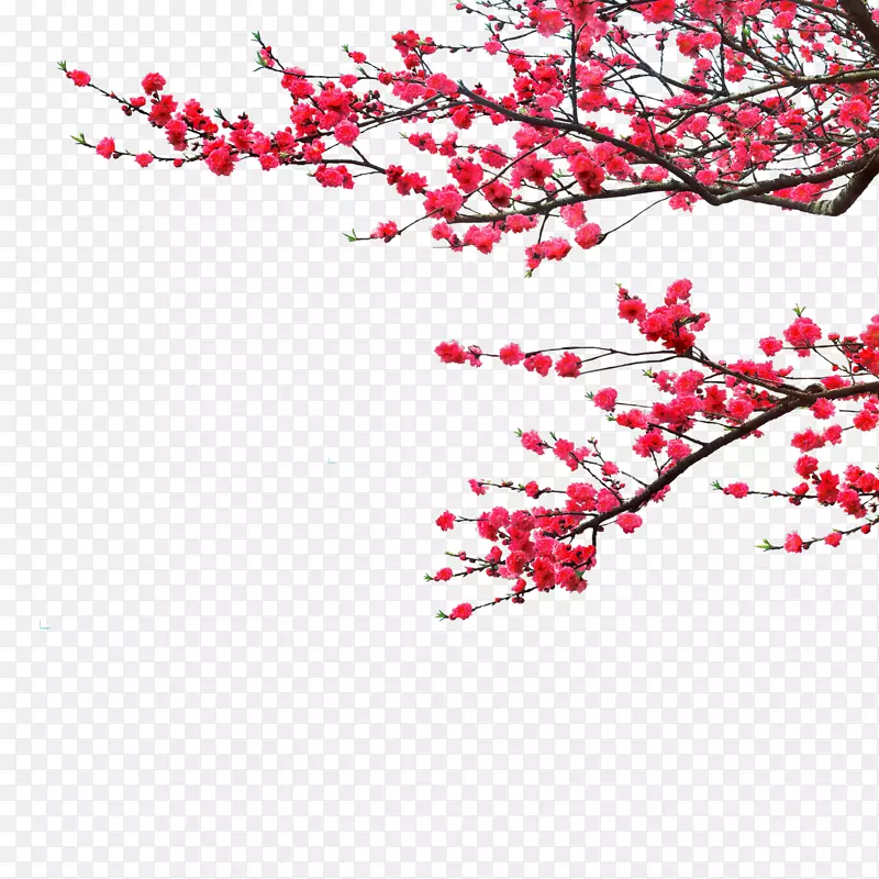 ÷��-������