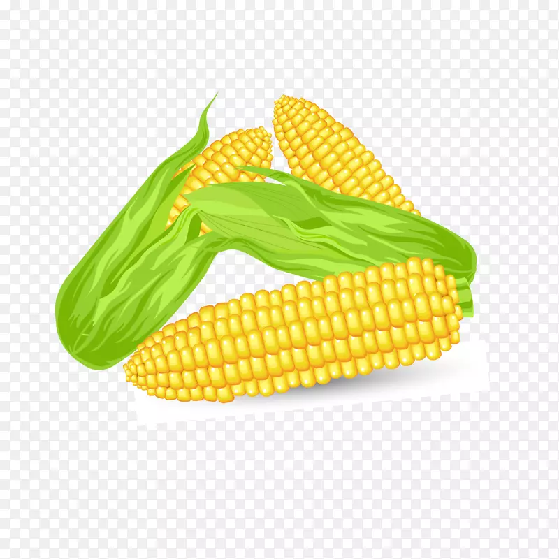 ��ͨ����ֲ�����-������