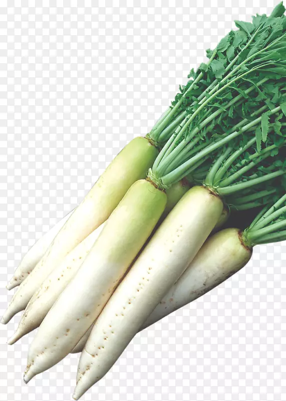 ���ܲ�ͼƬ-������