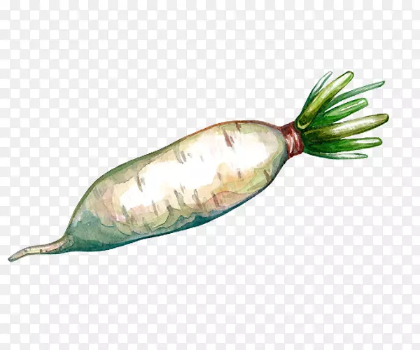 ˮ���ֻ��߲˰��ܲ�-������