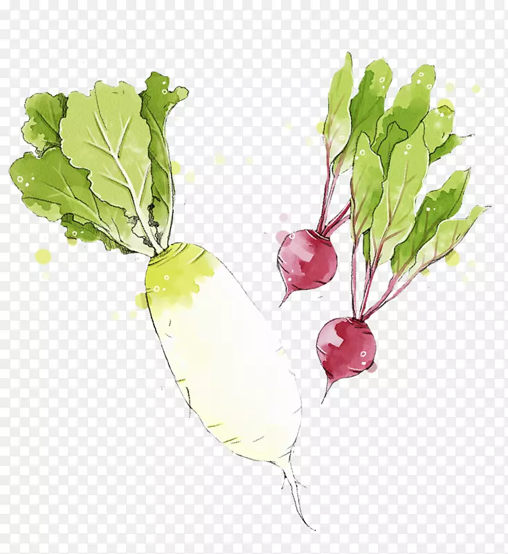 ˮ���߲��ܲ�-������