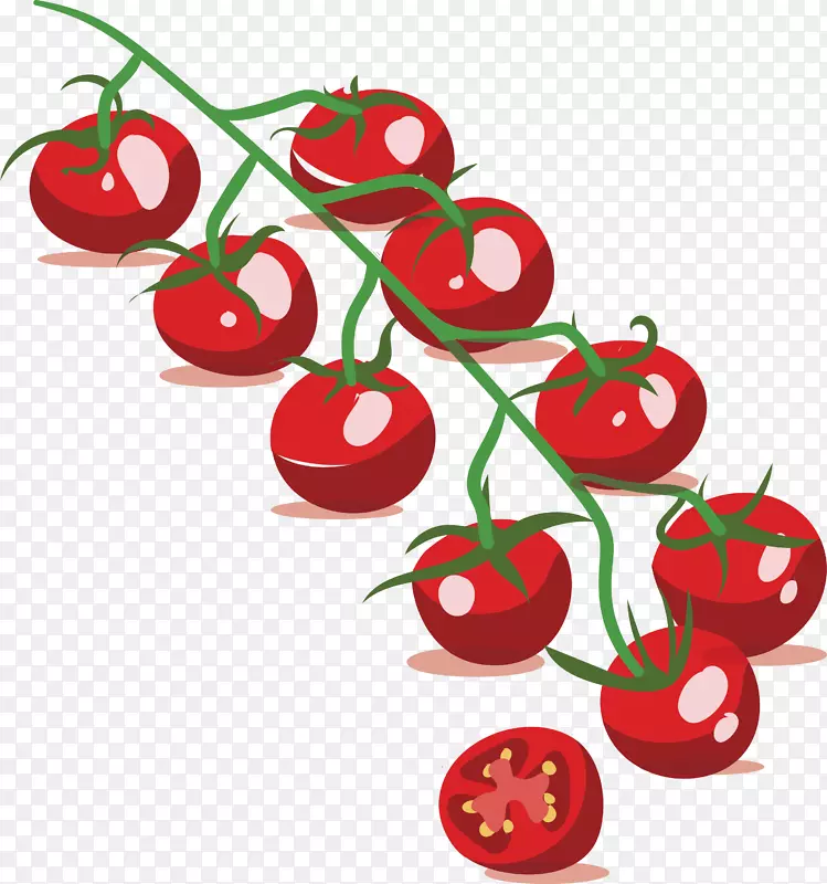 ��ɫС����-������