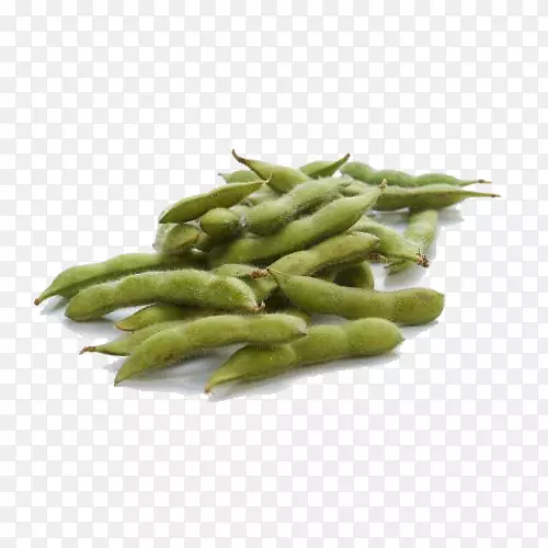 ʳ���л�ë��-������