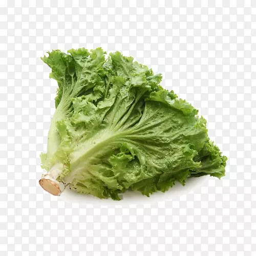 ��������-������