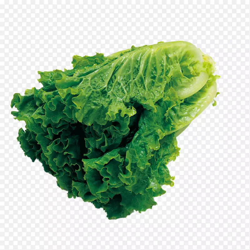 �߲�����-������