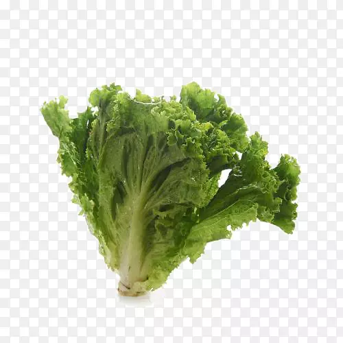 ����������-������