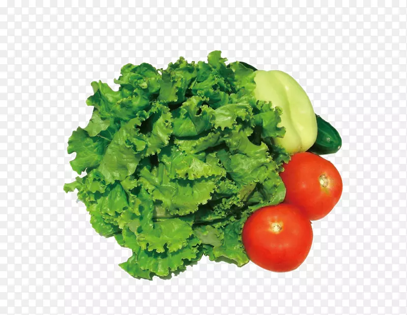 ���˷���ͼƬ�ز�-������