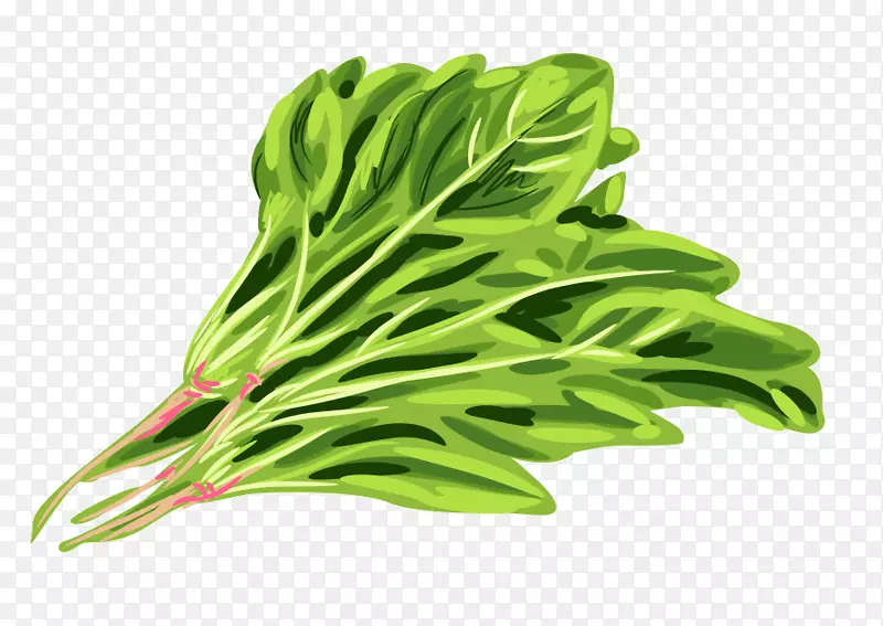 ɫ��������ɫ�����ֻ��߲����˱�-������