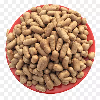 ������ɽҩ��-������