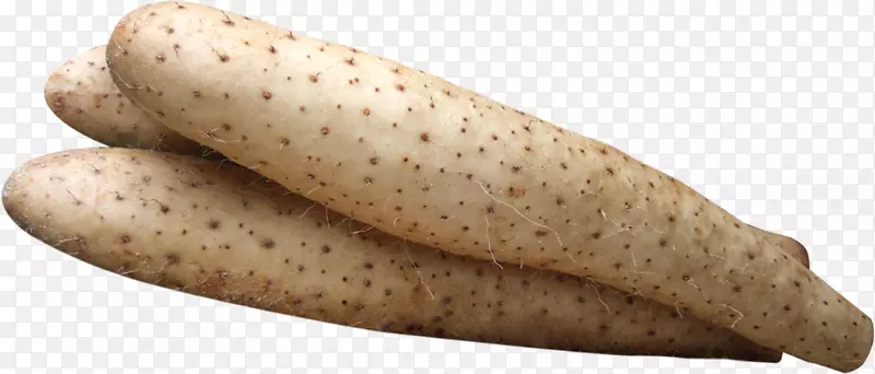 ɽҩͼƬ-������