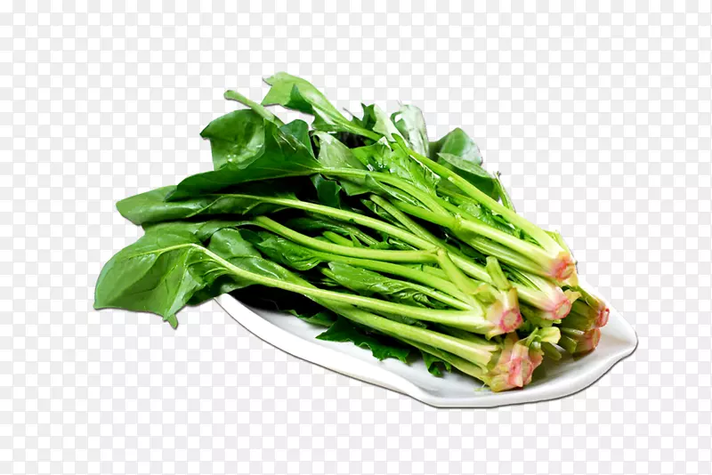 ��ɫʳƷ�л�ʳƷ-������