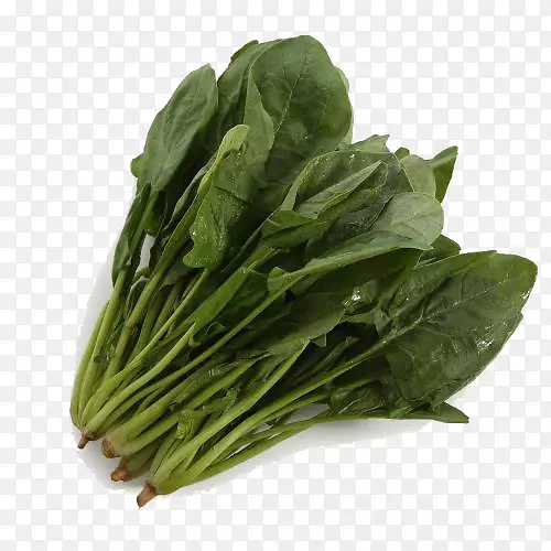 �߲˲���-������