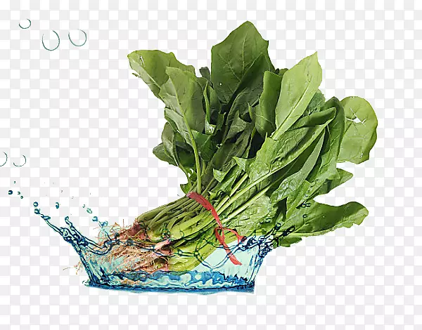 �߲�-������