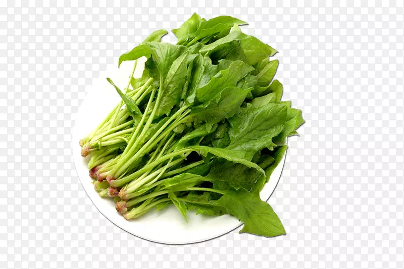 ����һ�̲���-������