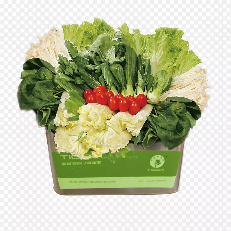 ���ϵ��߲�-������