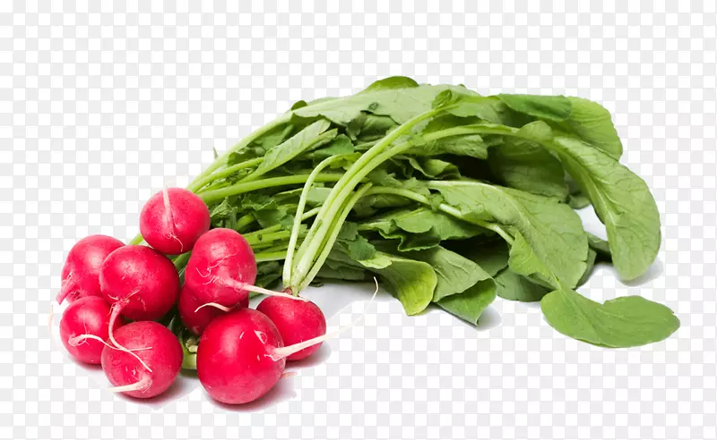 ���ܲ������߲�-������