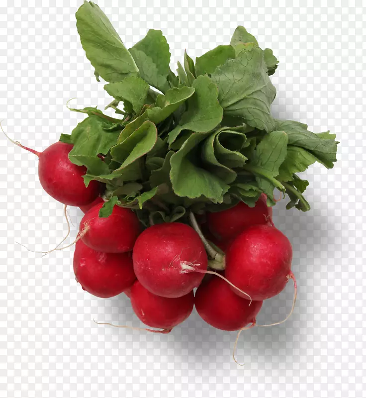 �����߲�С���ܲ�-������