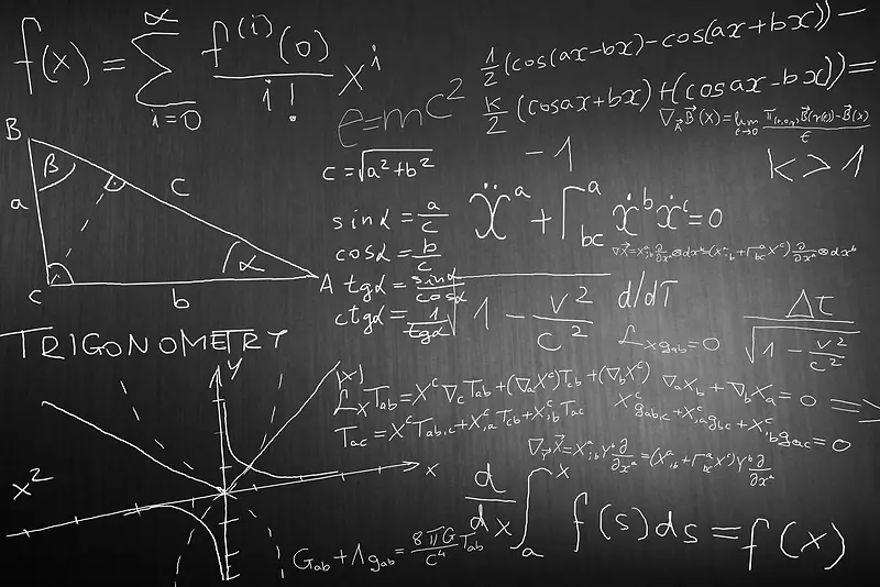 ������ѧ����-������