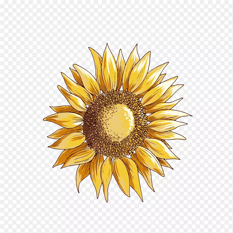 ���������ͼ����-������