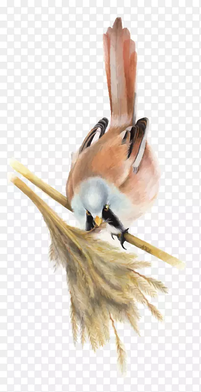 ʸ����ȸ-������