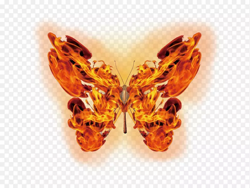 �����������ز�ͼƬpsd�ز�-������