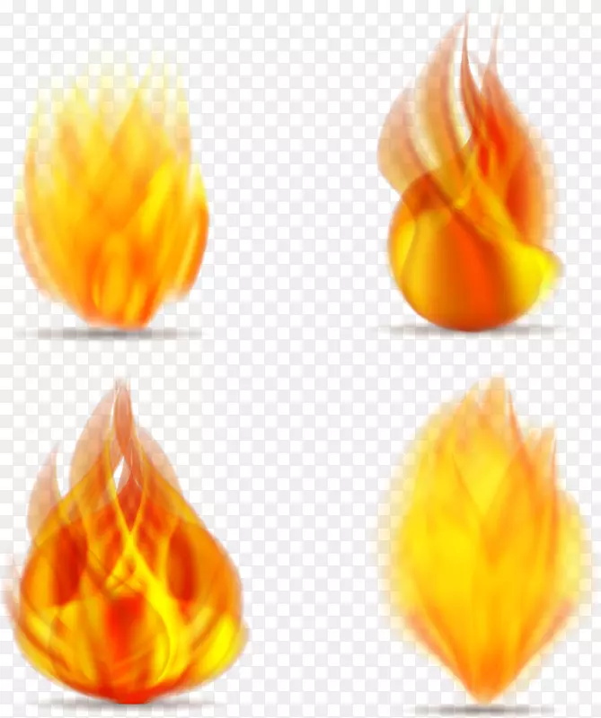 4��������ʸ���ز�-������