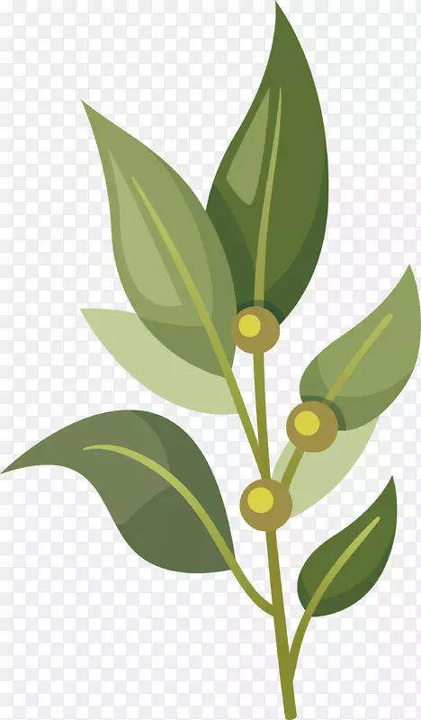 �ֻ濨ͨʳ���߲�ʸ���ز�-������