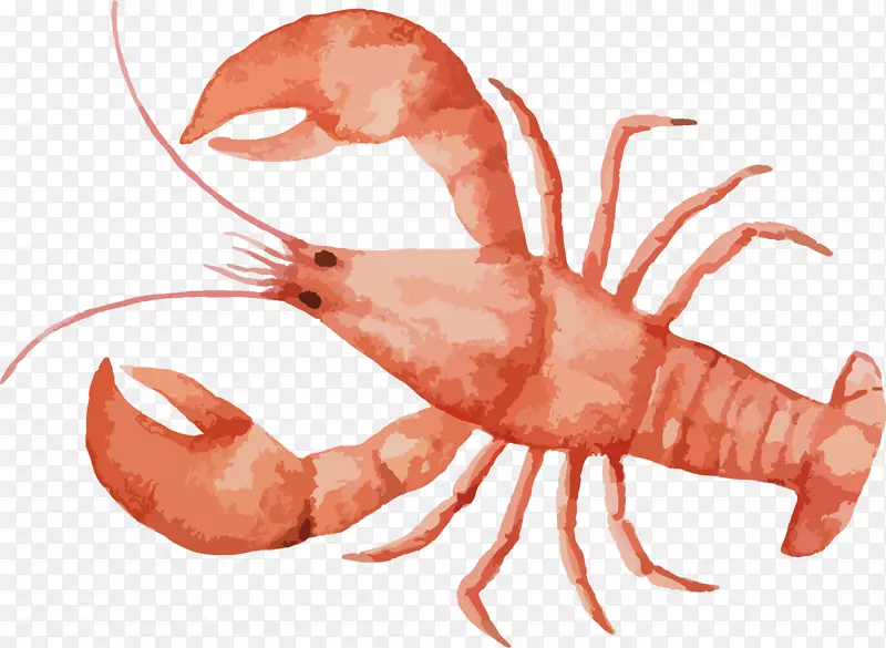 �ֻ�Ϻ�ز�-������