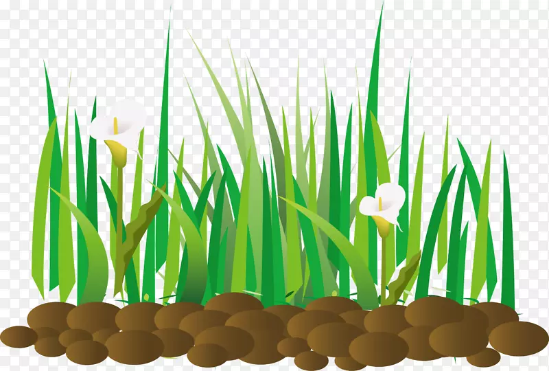 �ݵ�pngʸ���ز�-������