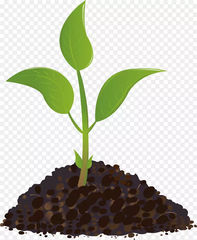 ��ѿpngʸ���ز�-������