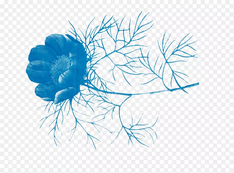 ��ɫ���ز�-������