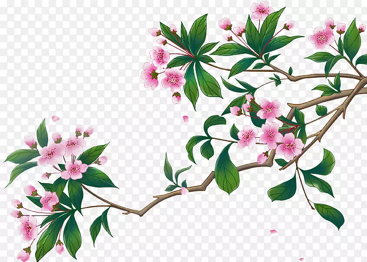 �������ز�-������