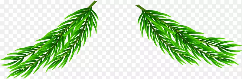 ��ɫ������֦����-������