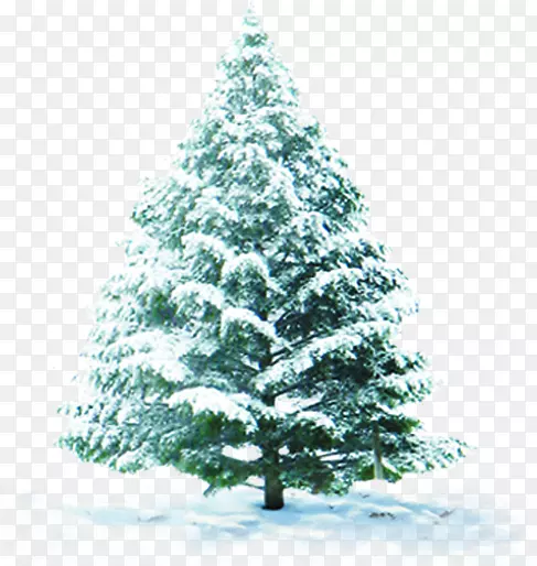 ������Ӱ��ɫ����������-������