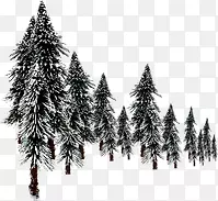 ������Ӱ���ͺ�ɫ����-������