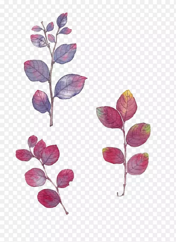 �ֻ�ֲ��-������