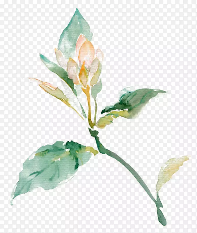 �ʻ�ֲ��-������