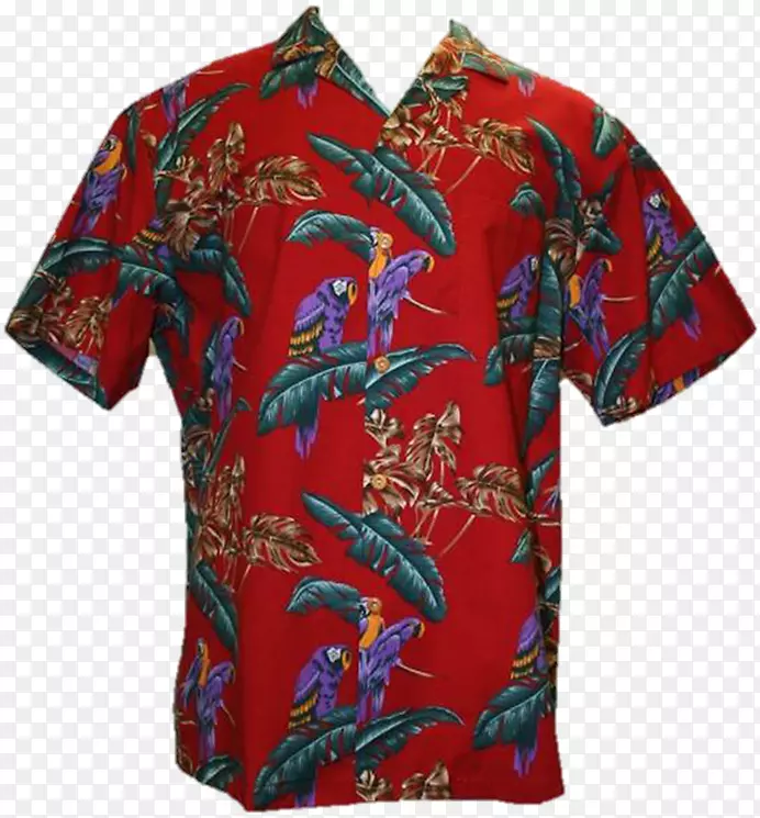 ������t�������������ĳ���-������