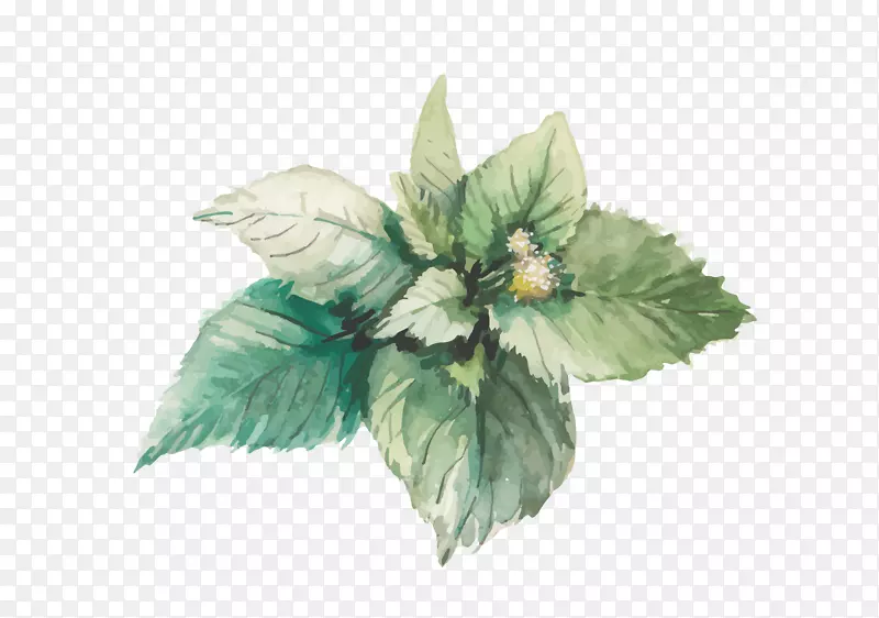 �ֻ�ˮ���ز�-������