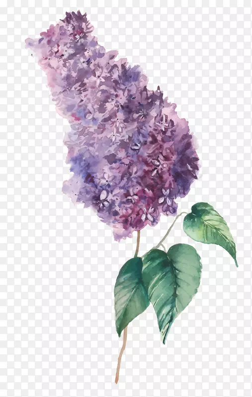 ˮ�ʻ���Ԫ������-������