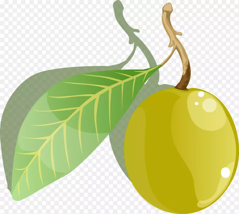 �ֻ���÷ʸ��ͼ-������