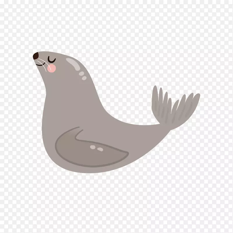 ����ĺ�������ز�-������